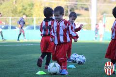 IMG_2377