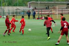 WhatsApp-Image-2021-10-31-at-15.31.33